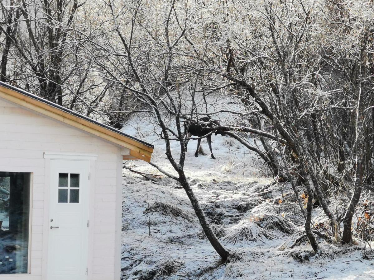 Relaxing Cabin Villa Gravdal  Exterior foto